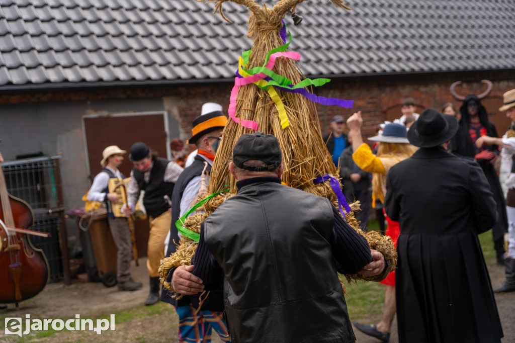 Niedźwiedzie ma Bogusławiu