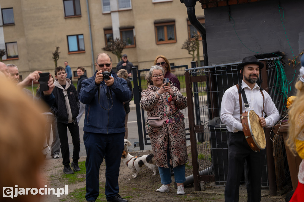 Niedźwiedzie ma Bogusławiu