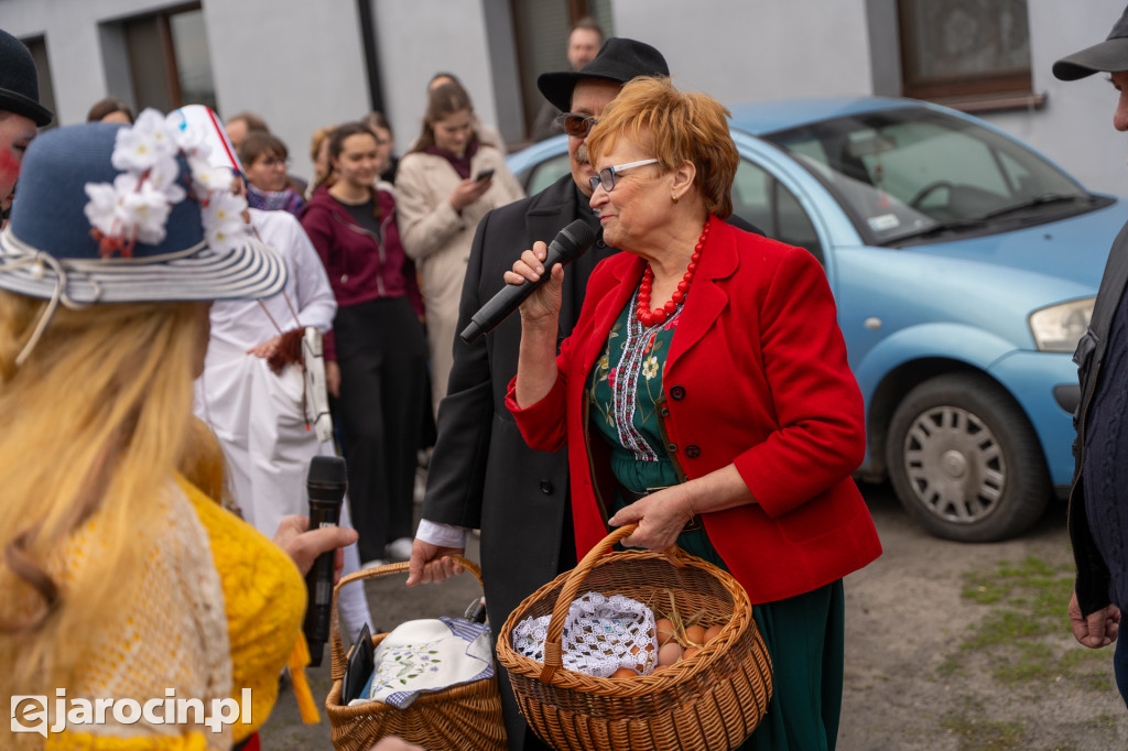 Niedźwiedzie ma Bogusławiu