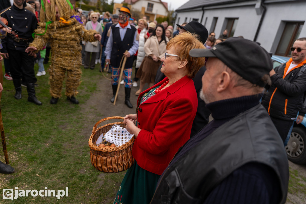 Niedźwiedzie ma Bogusławiu