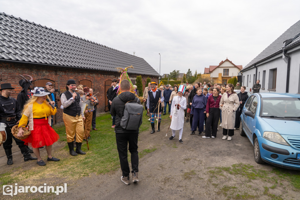 Niedźwiedzie ma Bogusławiu