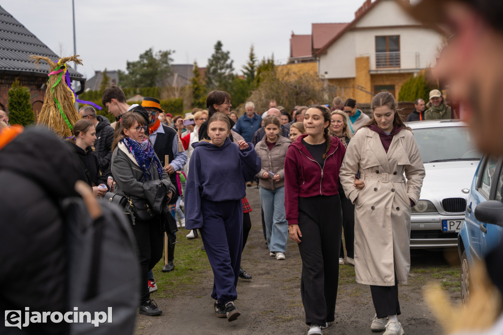 Niedźwiedzie ma Bogusławiu