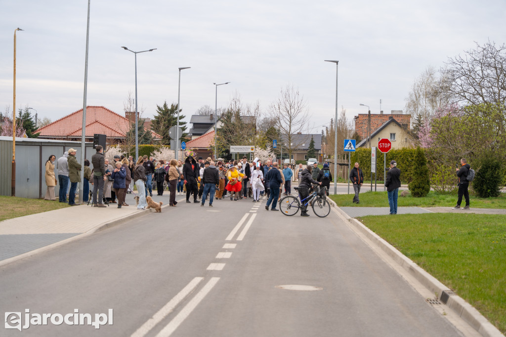 Niedźwiedzie ma Bogusławiu