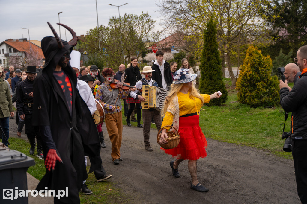 Niedźwiedzie ma Bogusławiu