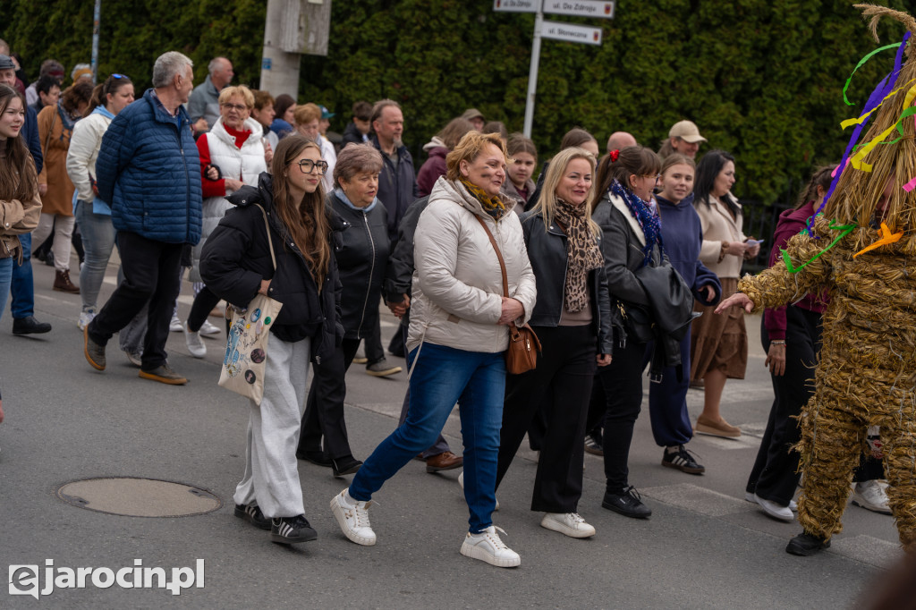 Niedźwiedzie ma Bogusławiu
