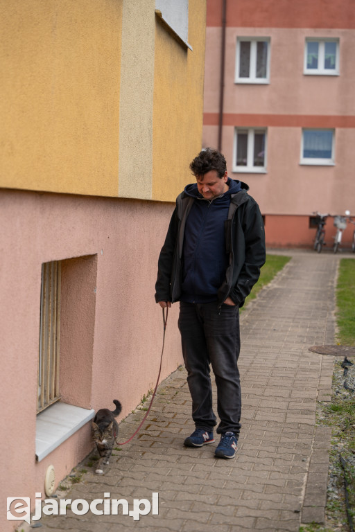 Niedźwiedzie ma Bogusławiu