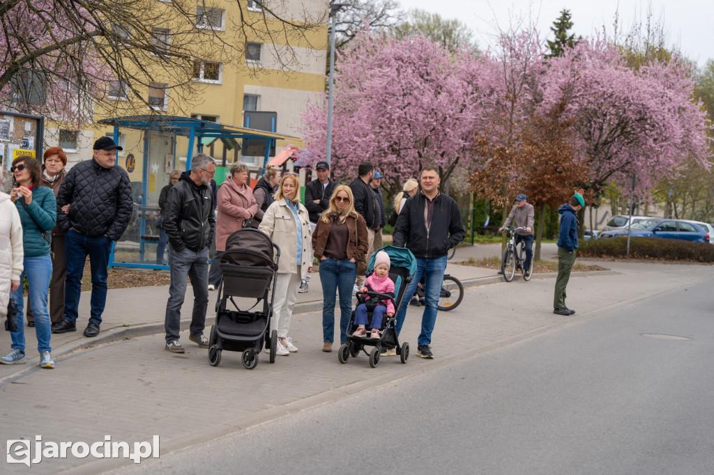 Niedźwiedzie ma Bogusławiu