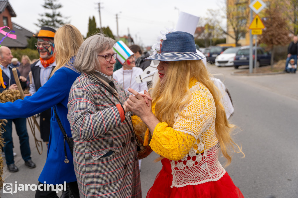 Niedźwiedzie ma Bogusławiu