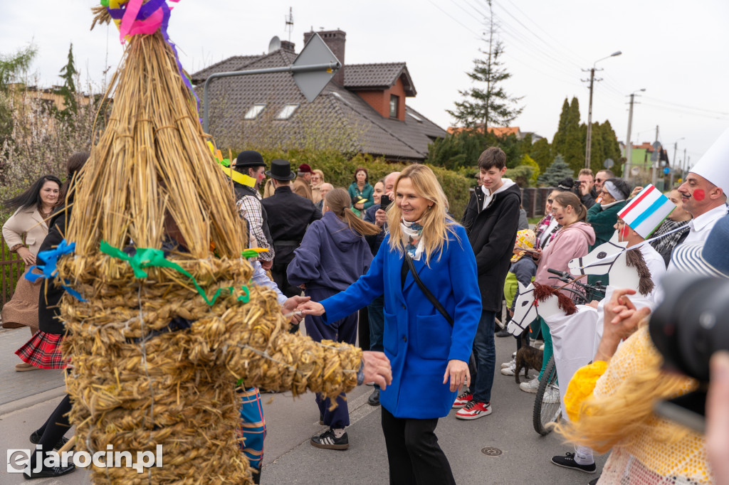 Niedźwiedzie ma Bogusławiu