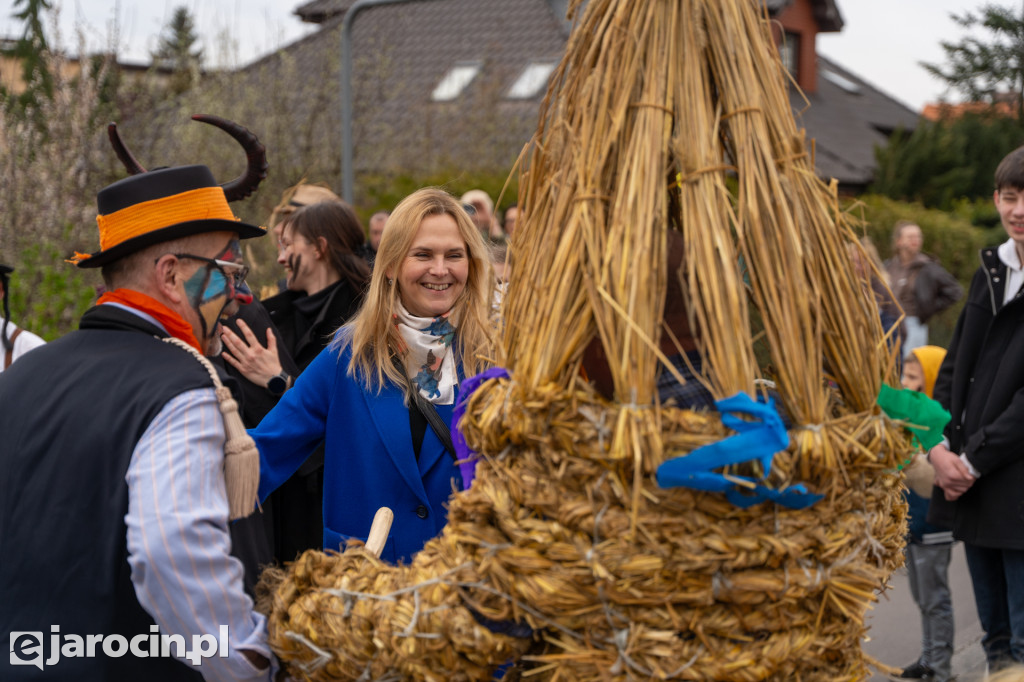Niedźwiedzie ma Bogusławiu
