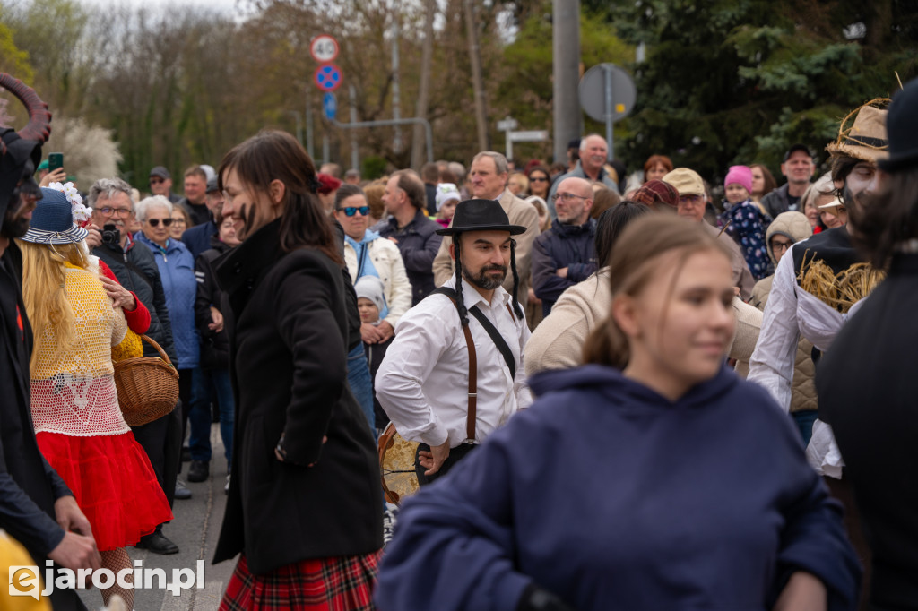 Niedźwiedzie ma Bogusławiu