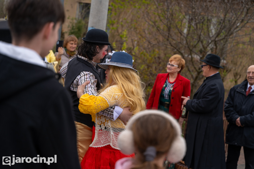 Niedźwiedzie ma Bogusławiu