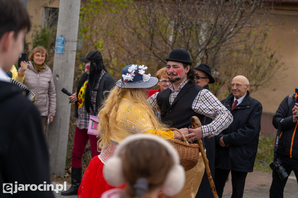Niedźwiedzie ma Bogusławiu