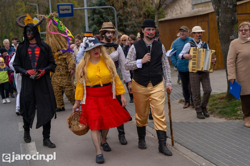 Niedźwiedzie ma Bogusławiu