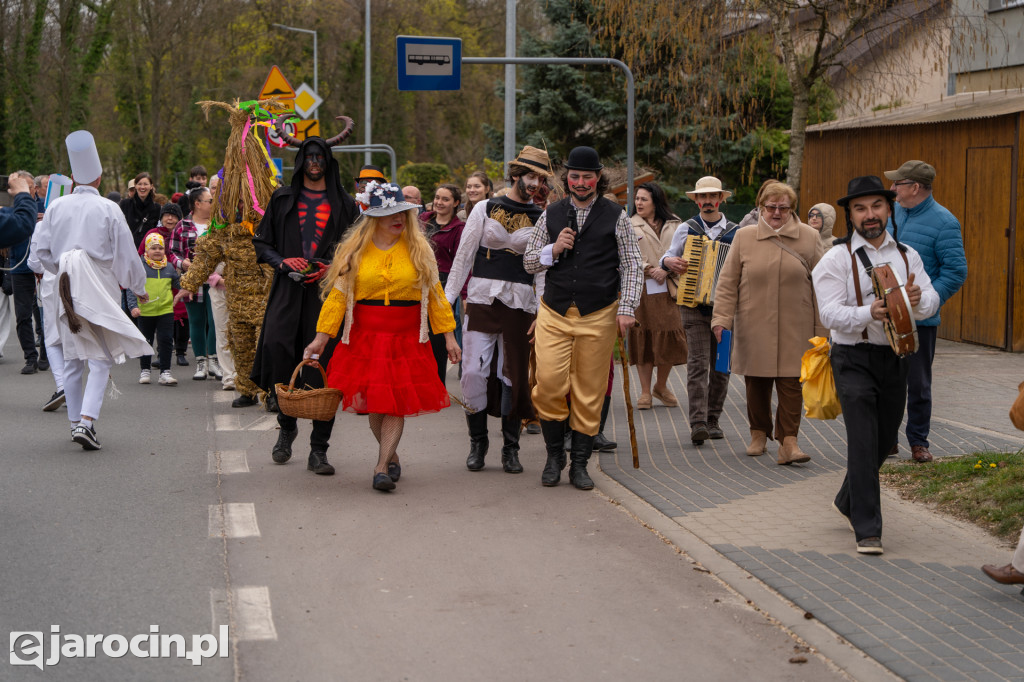Niedźwiedzie ma Bogusławiu