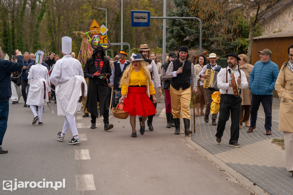 Niedźwiedzie ma Bogusławiu