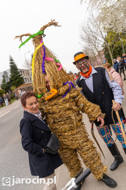 Niedźwiedzie ma Bogusławiu
