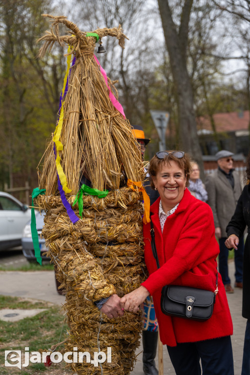Niedźwiedzie ma Bogusławiu