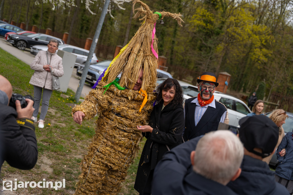 Niedźwiedzie ma Bogusławiu