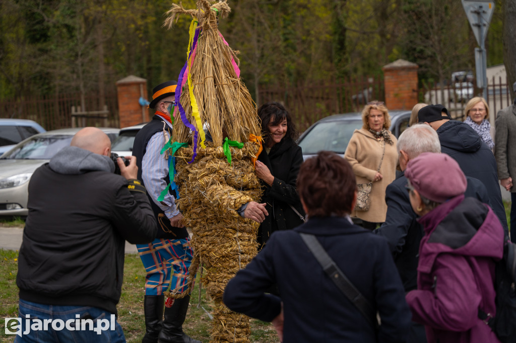 Niedźwiedzie ma Bogusławiu