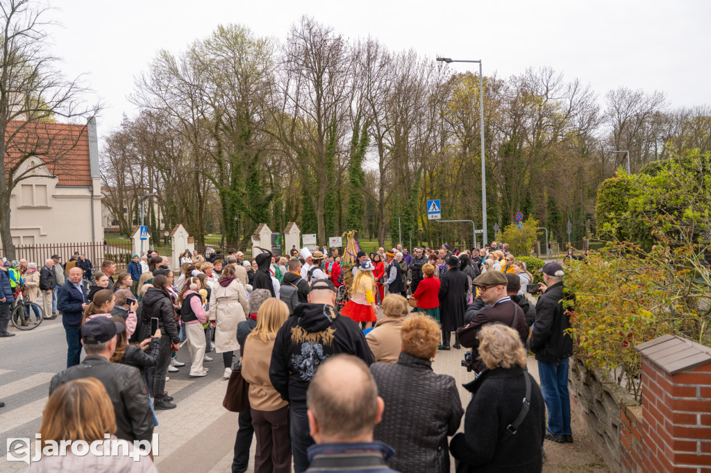 Niedźwiedzie ma Bogusławiu