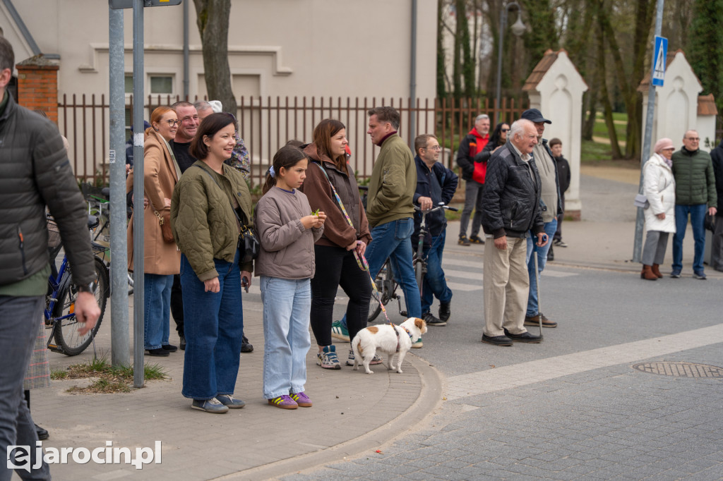 Niedźwiedzie ma Bogusławiu