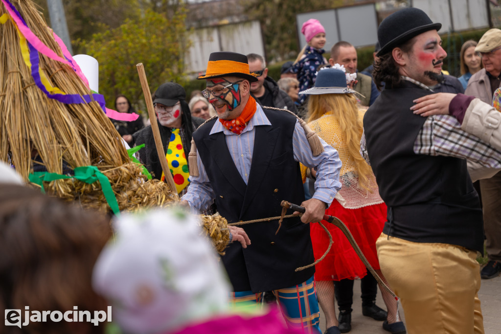 Niedźwiedzie ma Bogusławiu