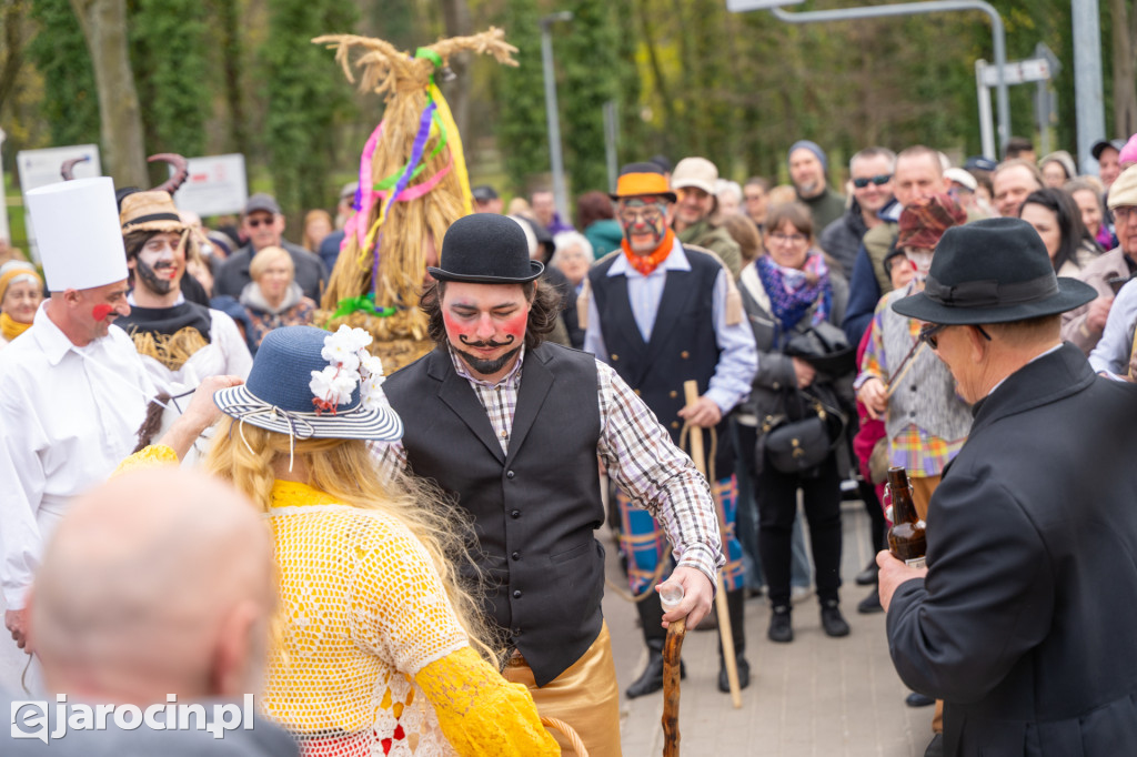 Niedźwiedzie ma Bogusławiu