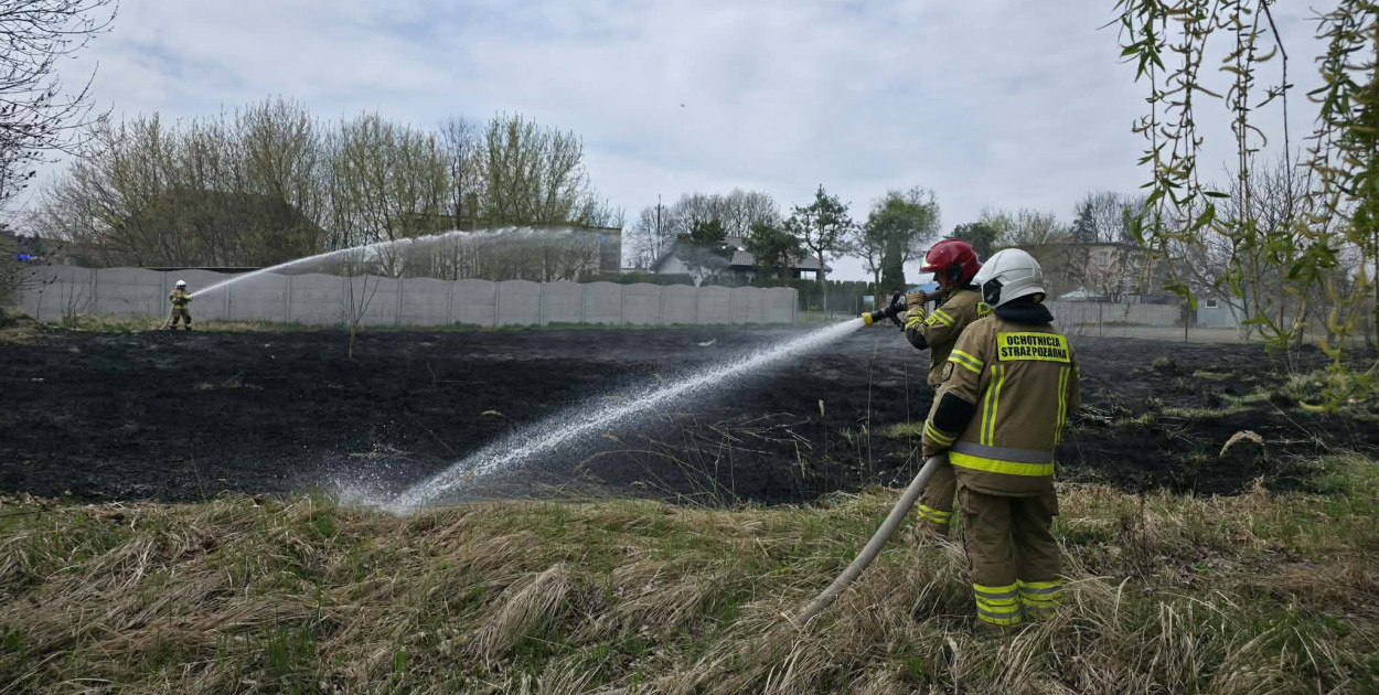 Pożar trawy w Witaszycach