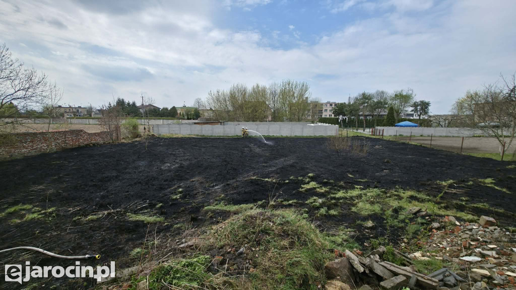 Pożar trawy w Witaszycach