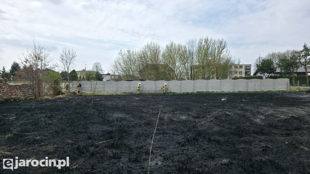 Pożar trawy w Witaszycach