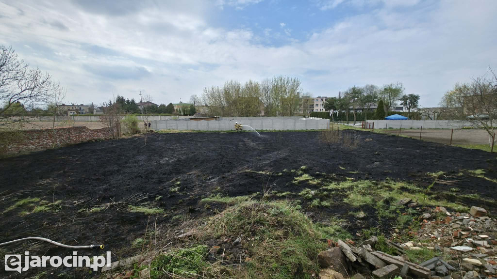 Pożar trawy w Witaszycach