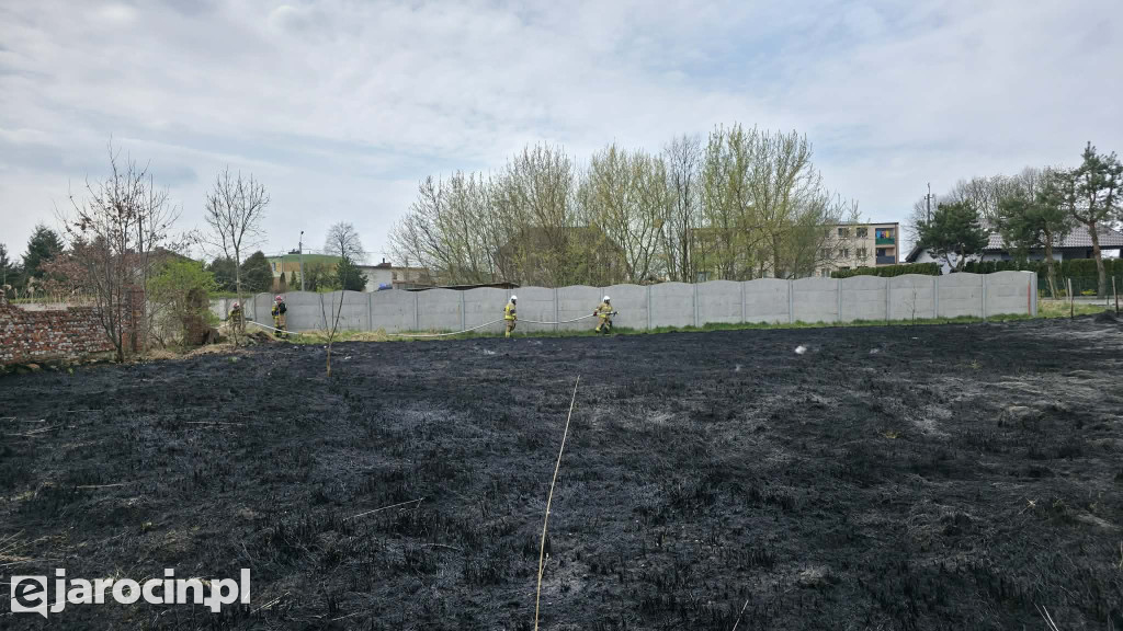 Pożar trawy w Witaszycach