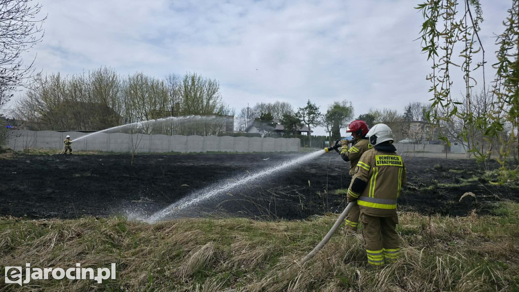 Pożar trawy w Witaszycach
