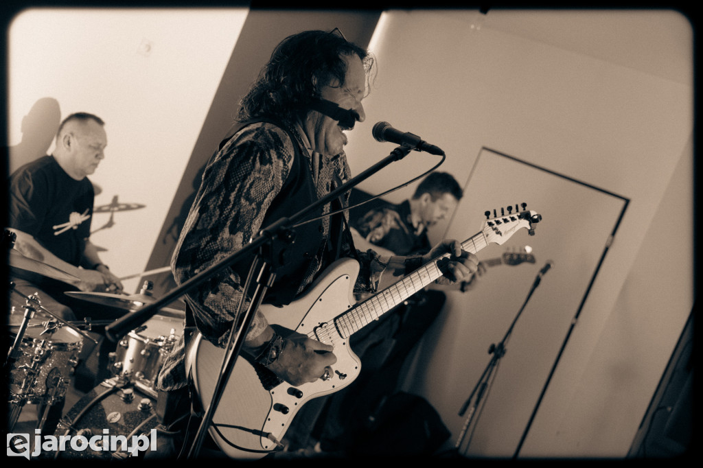 Muzyczna Kamienica: Wolf Mail Band