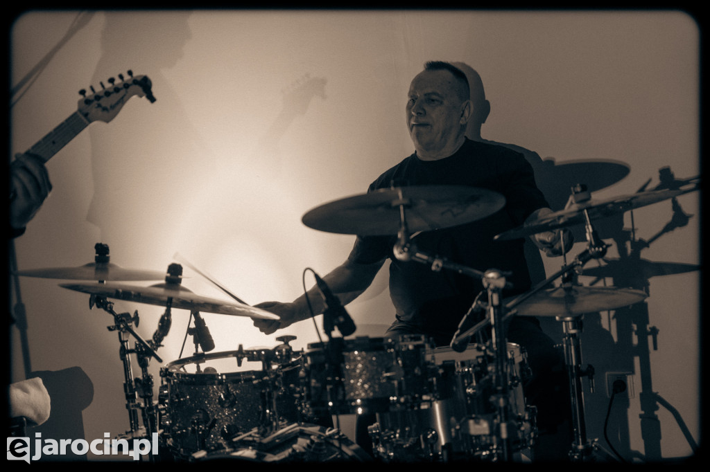 Muzyczna Kamienica: Wolf Mail Band