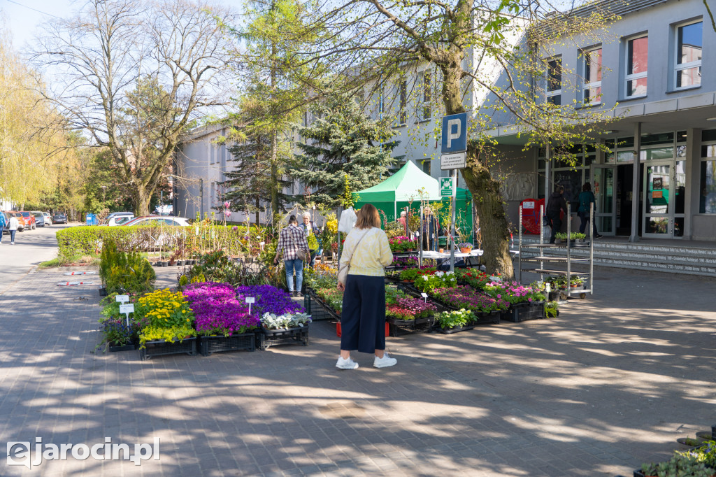 Kiermasz Ogrodniczy w JOK Jarocin