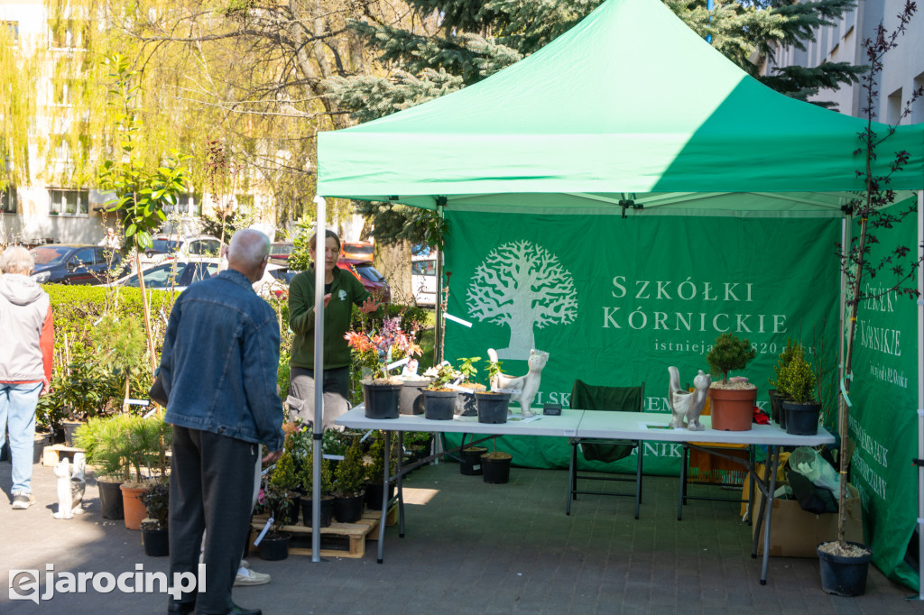 Kiermasz Ogrodniczy w JOK Jarocin