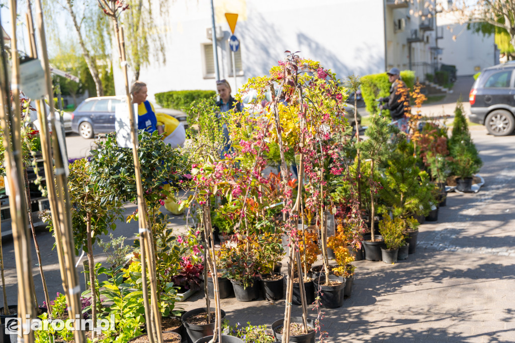 Kiermasz Ogrodniczy w JOK Jarocin