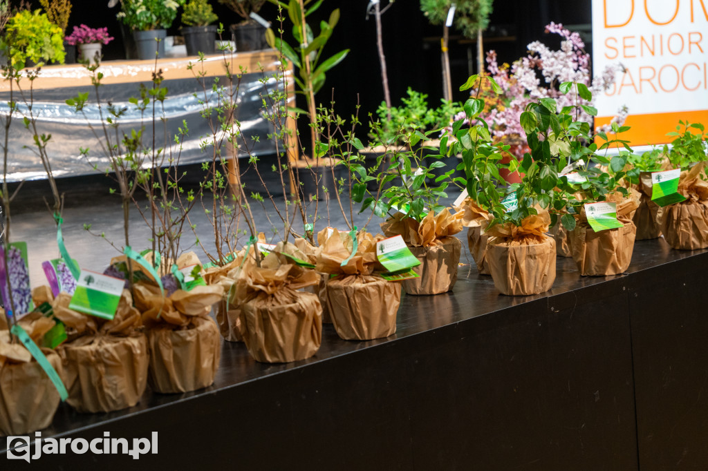 Kiermasz Ogrodniczy w JOK Jarocin