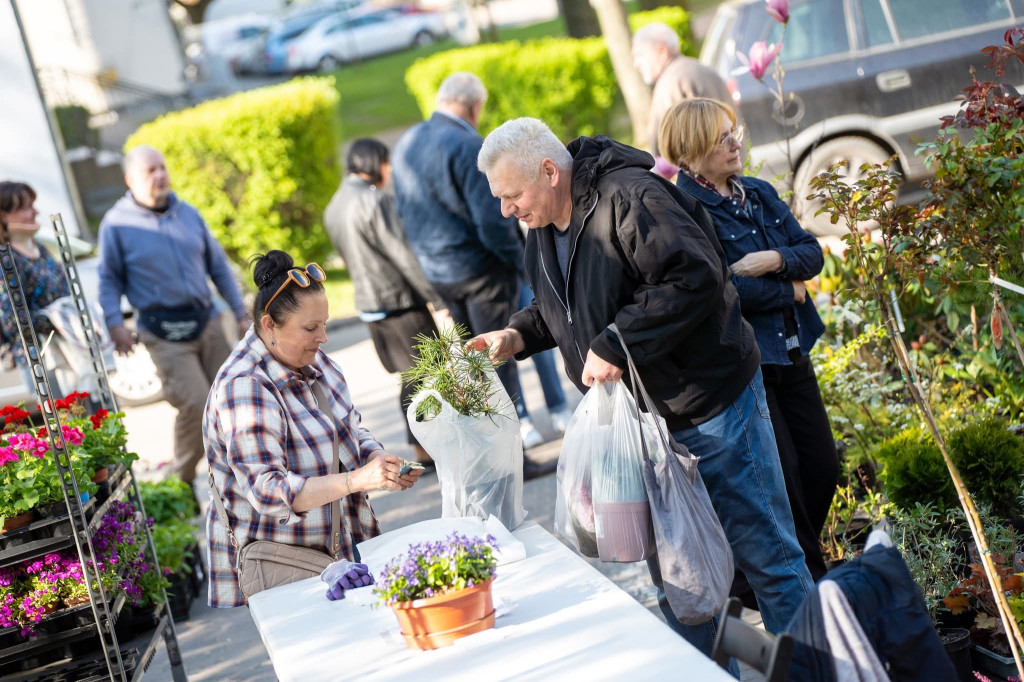 Kiermasz Ogrodniczy w JOK Jarocin