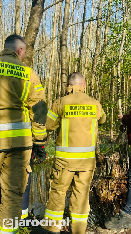 Woda wdziera się na drogę w Wilkowyi