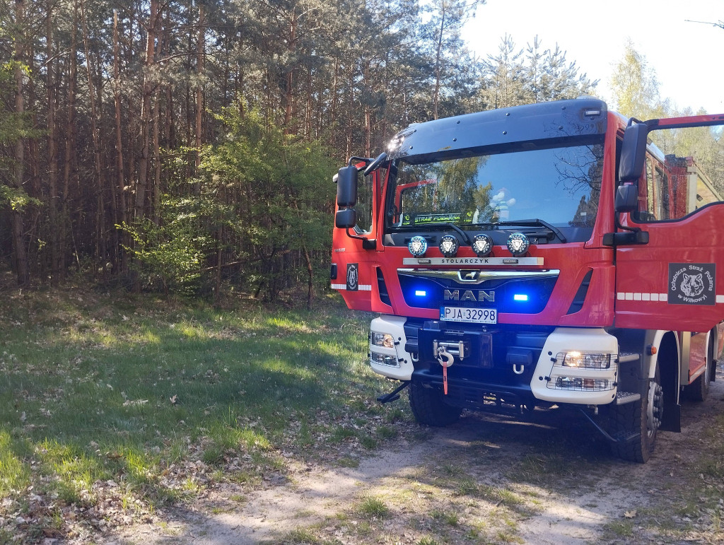 Pożar lasu między Bachorzewem a Hilarowem