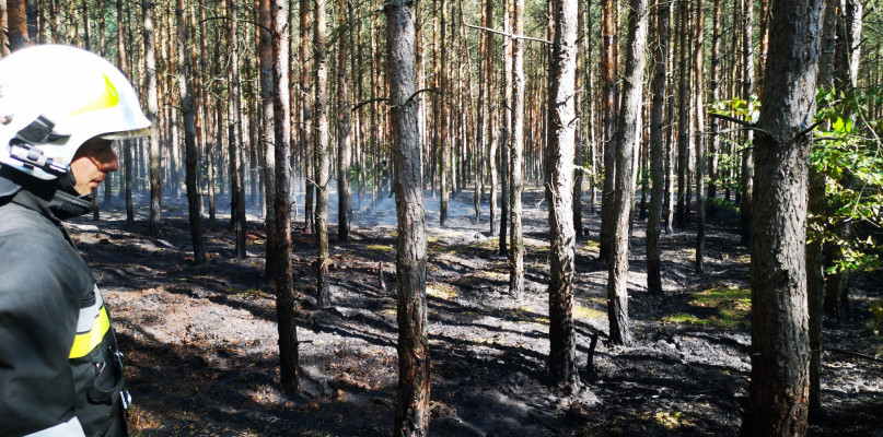 foto.: OSP w Wilkowyi