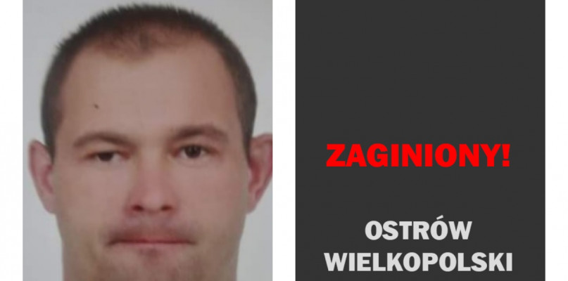foto.: Szukamy i Ratujemy - Ostrów Wlkp.