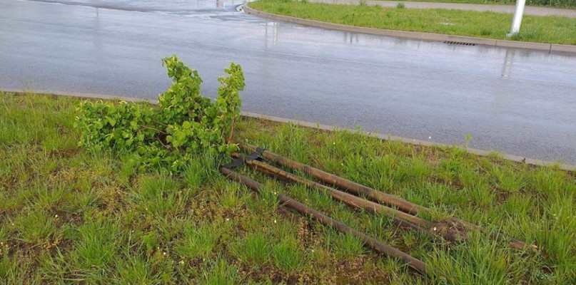 foto.: jarocin.pl
