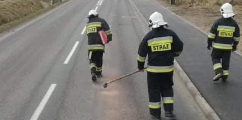 foto.: OSP Jarocin