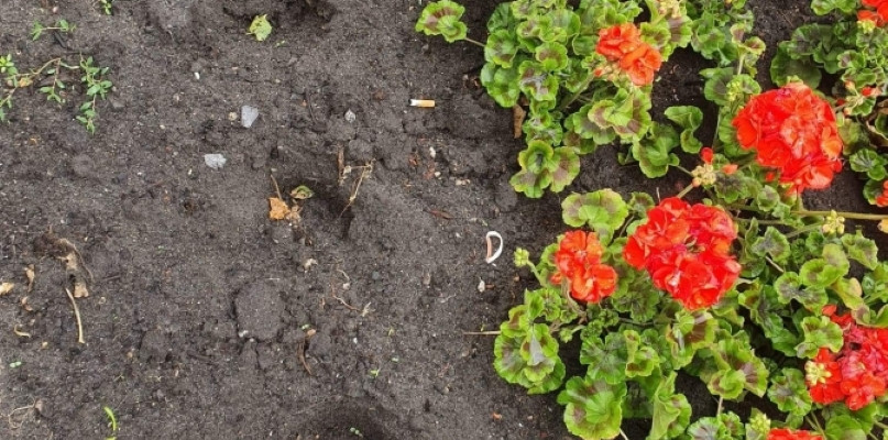 foto.: Gmina Jarocin