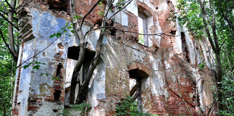 Kto wysadził pałac w powietrze? Świadkowie poszukiwani (ZDJĘCIA)