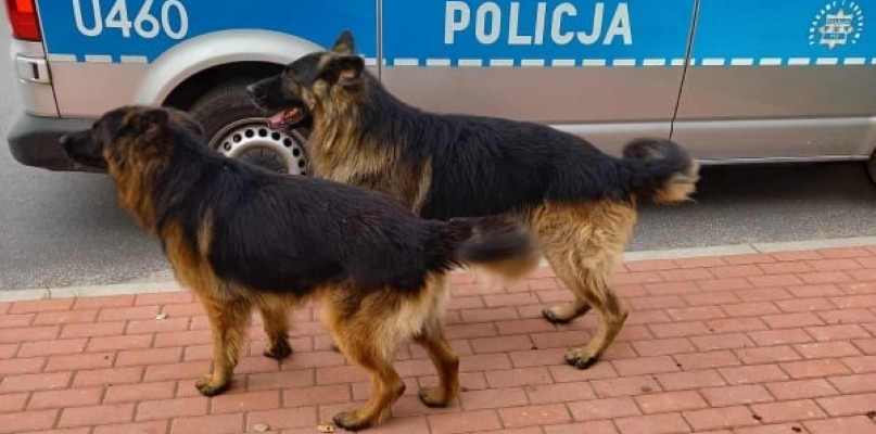 foto.: Komenda Powiatowa Policji w Jarocinie